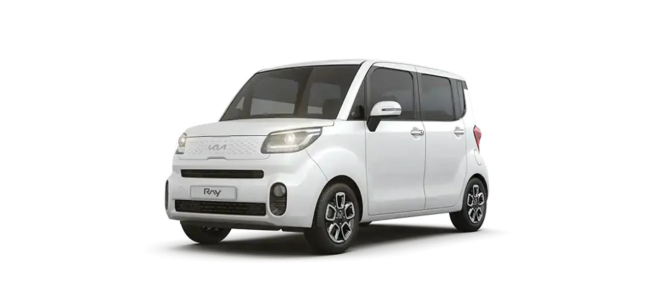 레이 2019(블랙박스)